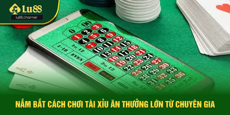 Những kinh nghiệm đặt cược tài xỉu chuẩn từ chuyên gia