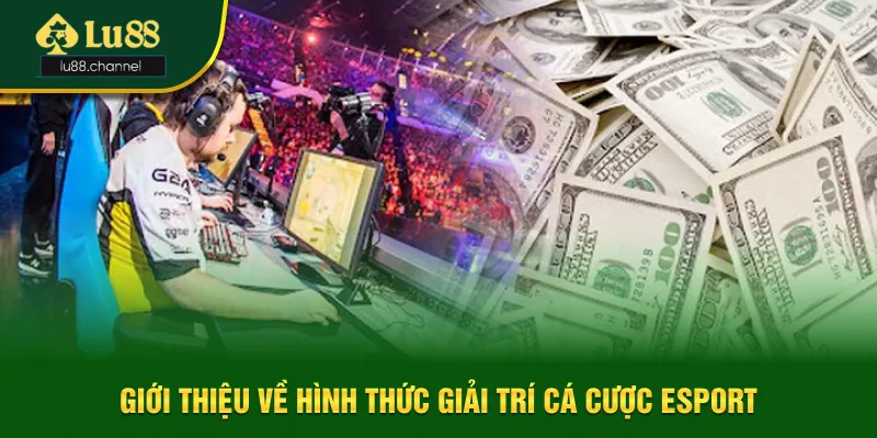 Giới thiệu tổng quan về hình thức giải trí cá cược esport