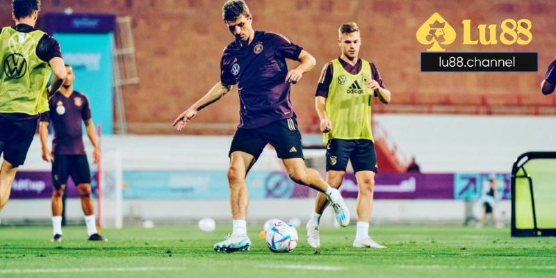 Chiến lược cá cược 2 - 2 5 hiệu quả từ chuyên gia lâu năm